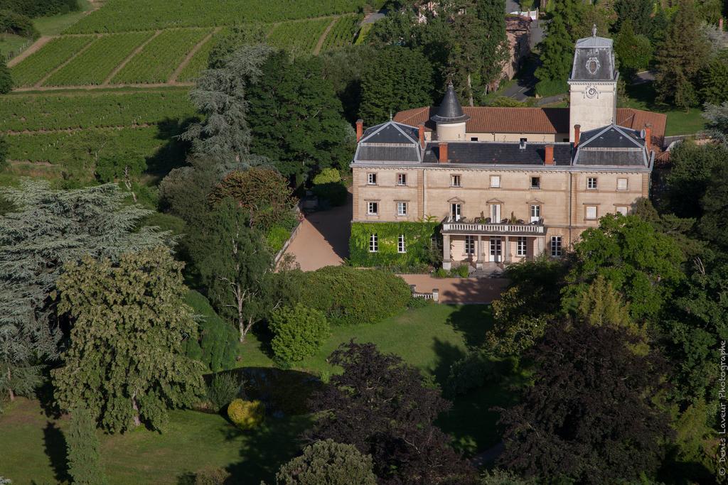Chateau De Bellevue B&B Villié-Morgon Buitenkant foto
